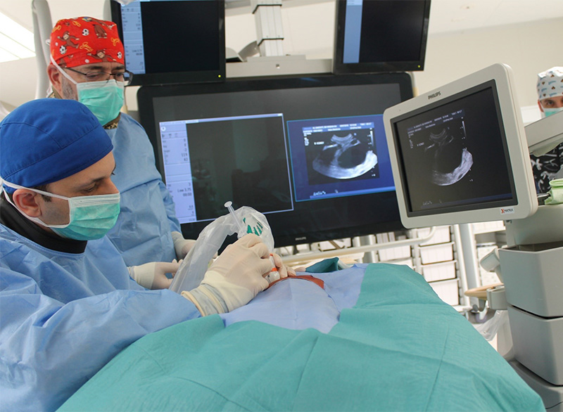 Pediatric Interventional Radiology