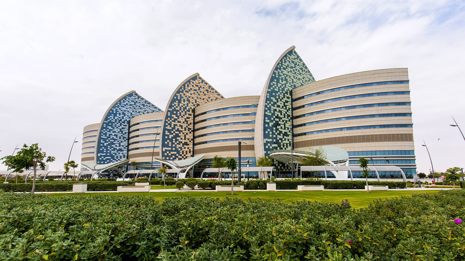 Катар медицина. Sidra Medical Доха. Sidra Medical and research Center скульптуры. Sidra Medical and research Center. Sidra Dubai.