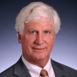 Interim Chief Executive Officer, Professor Robert K. Crone