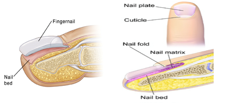 How to Care for Your Child with Laceration (cuts)